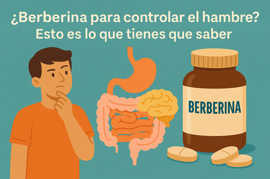 ¿Cómo reducir el hambre con una simple pastilla? Los Secretos de la Berberina